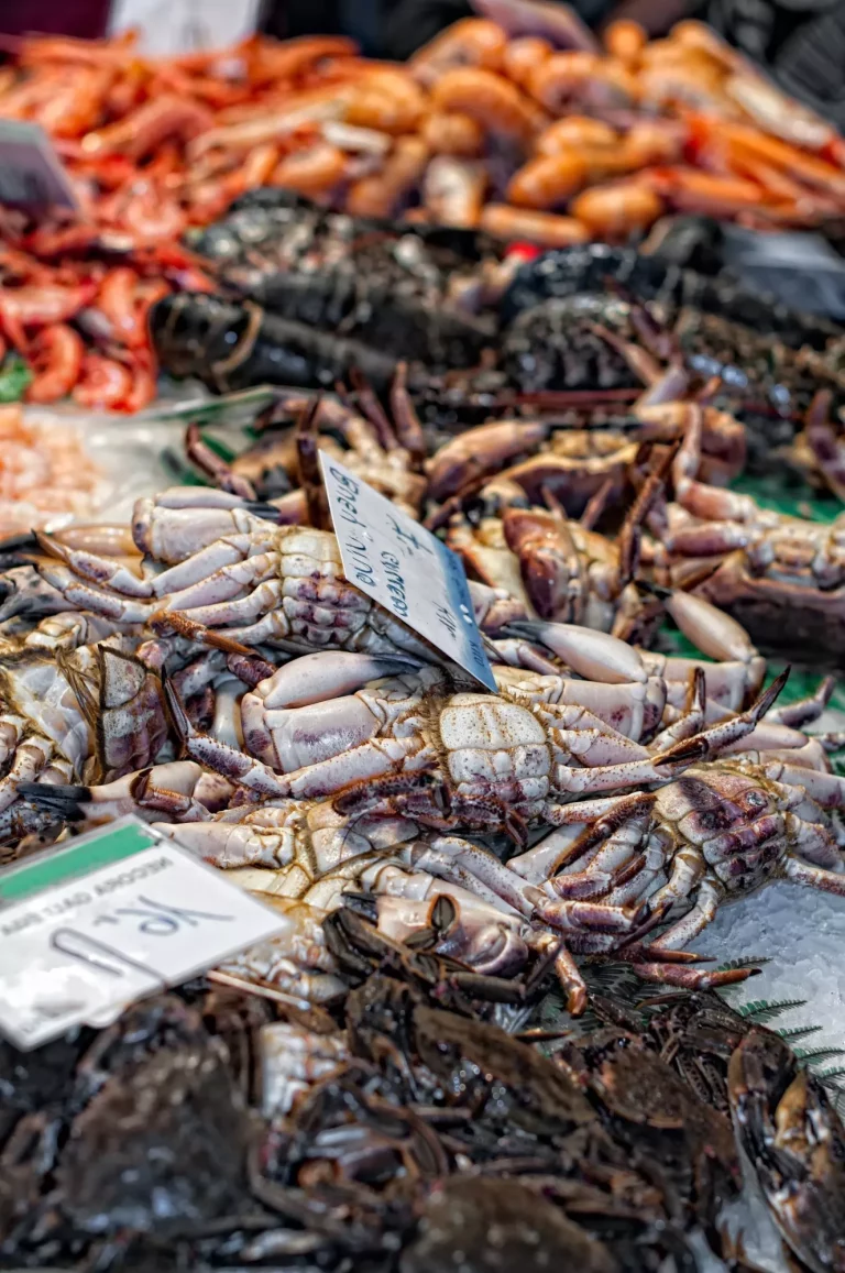 Il paese delle meraviglie dei frutti di mare: Esplorare le abbondanti delizie dei banchi di pesce del mercato della Boqueria a Barcellona