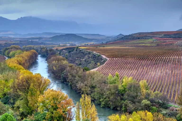 Vingårder i provinsen La Rioja i Spania.