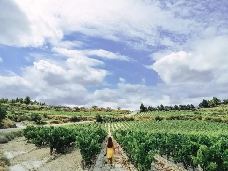 Девушка в желтом платье входит в виноградники на фоне голубого неба, окрашенного облаками, и красочного пейзажа