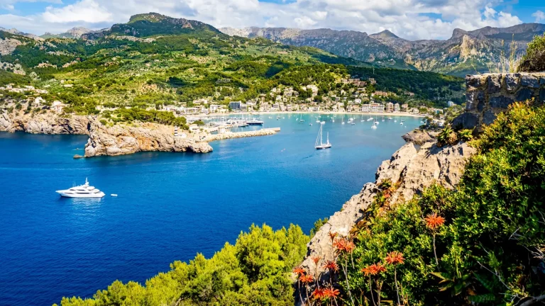 Panorama de Port Soller Mallorca con el pico de la montaña Puig de la Bassa, puerto deportivo Tramontana, playas Platja de Can Generos y Platja des Traves de izquierda a derecha con roca y flores en primer plano.