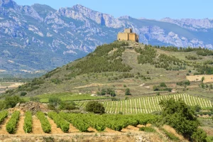 Savor Spain's renowned wine heritage