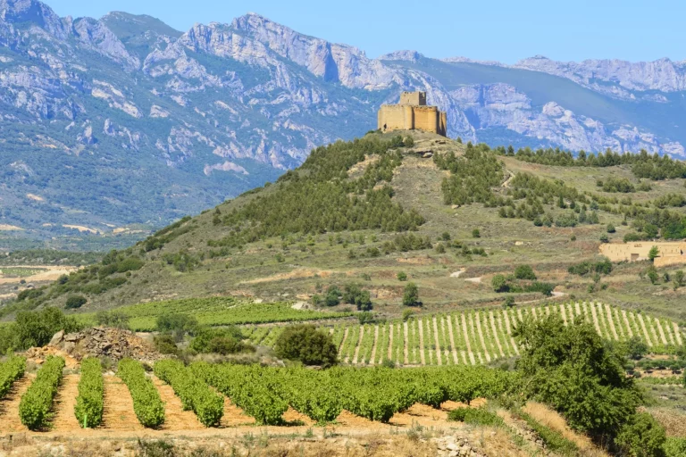 Vigneto con il castello di Davaillo sullo sfondo, La Rioja (Spagna)